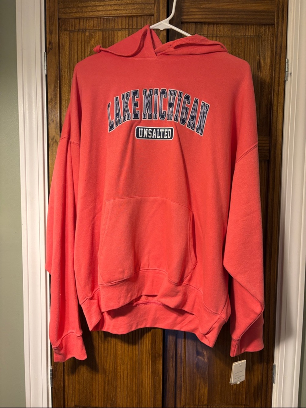 Lake Michigan Pink Hoodie Sweatshirt - women’s